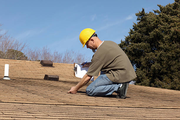 Best Roof Moss and Algae Removal  in Chatham, VA